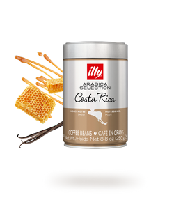250 גרם פולי קפה חד זני illy MonoArabica Costa Rica 100% arabica 250 גרם פולי קפה חד זני illy MonoArabica Costa Rica 100% arabica